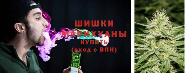 дмт Кодинск
