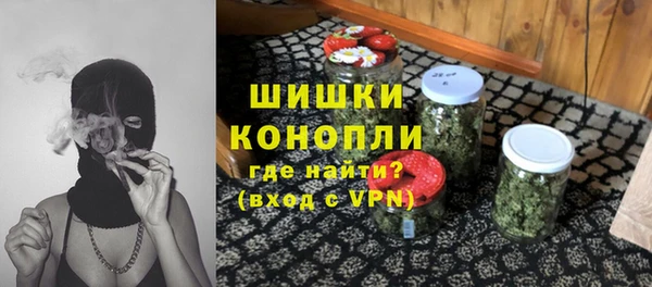 дмт Кодинск