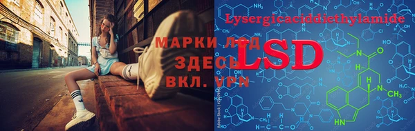 дмт Кодинск