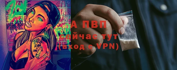 дмт Кодинск