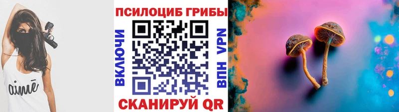 Псилоцибиновые грибы прущие грибы  Купить  Брюховецкая 