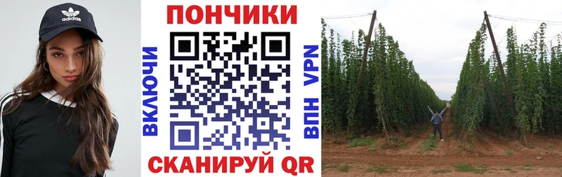 Купить закладки  Брюховецкая  Шишки марихуана конопля 